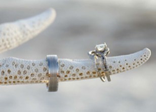 starfish and rings in detail