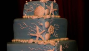 starfish and shell themed cake