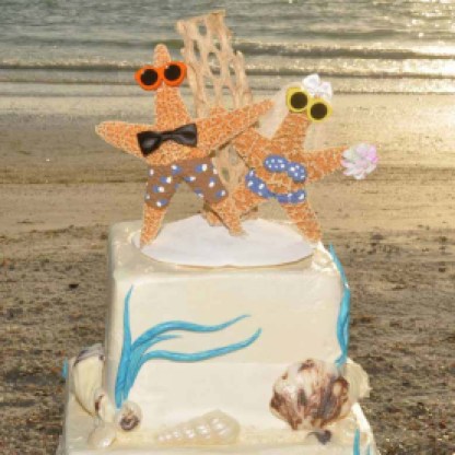 starfish cake