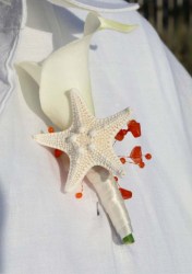 starfish lily buttonhole1